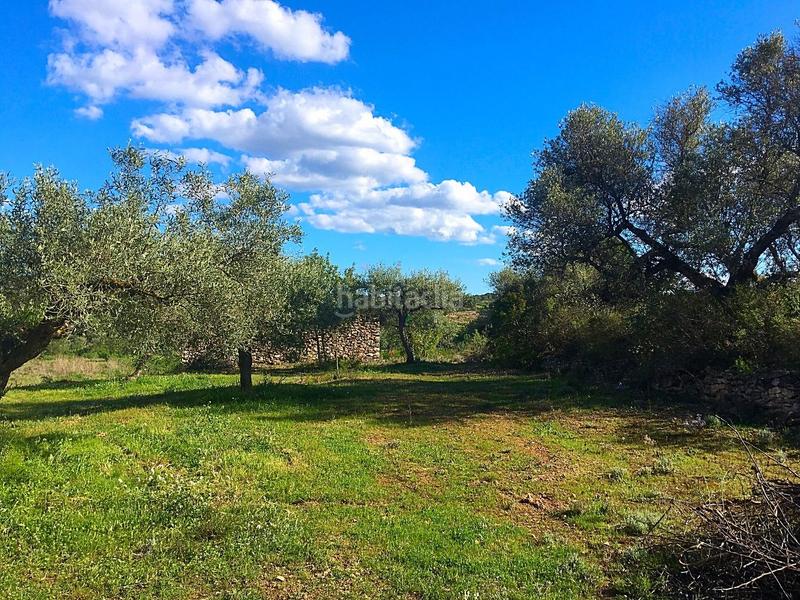 Foto 90dc4028-1dd5-4e22-8773-180a5d2cfbdb. Masía en Rasquera