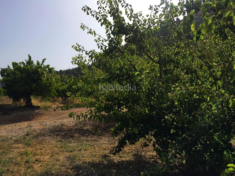 Foto 05b86cb7-1d78-4a22-bab6-de0d3346fa50. Bauernhof in Benifallet