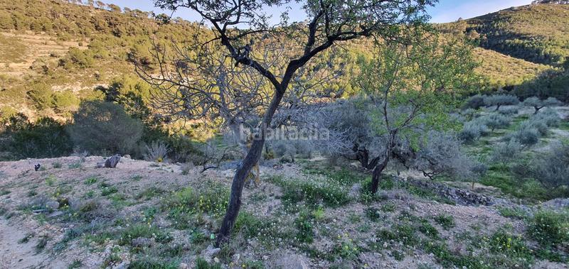 Foto 024ffaa4-7273-4fd6-a8a9-642c5e5c7cae. Maison dans Rasquera