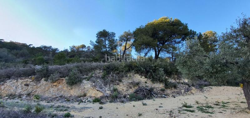 Foto 0a2db93e-5d37-4210-b550-d74514934645. Maison dans Rasquera