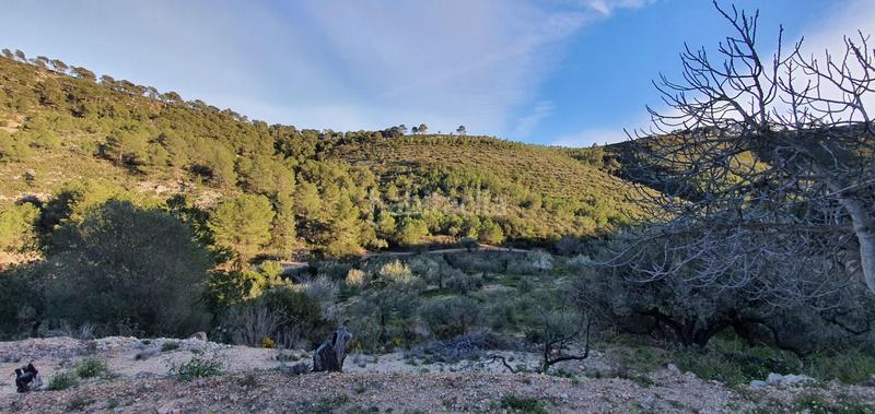 Foto 51625225-6ba1-4695-81f0-e2756d8ab2fb. Maison dans Rasquera