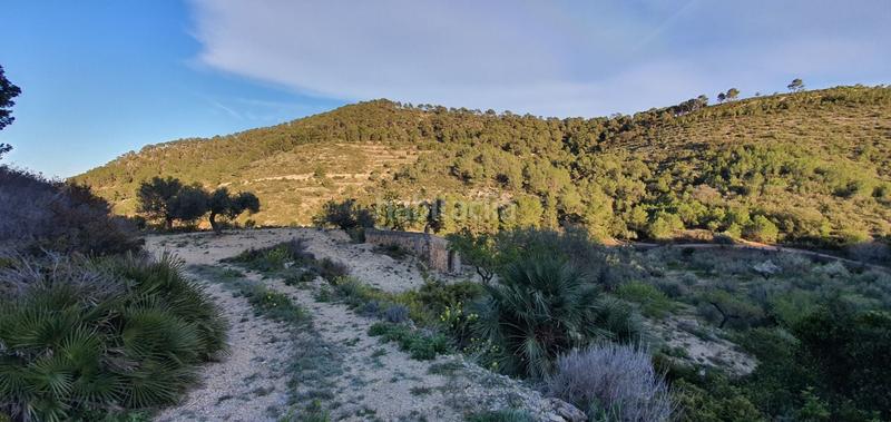 Foto 62f1f6e4-1648-4368-aafc-d08e298798f8. Maison dans Rasquera