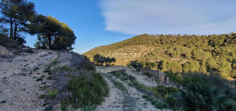 Foto 7589ceeb-0616-4399-9584-401f376515eb. Maison dans Rasquera