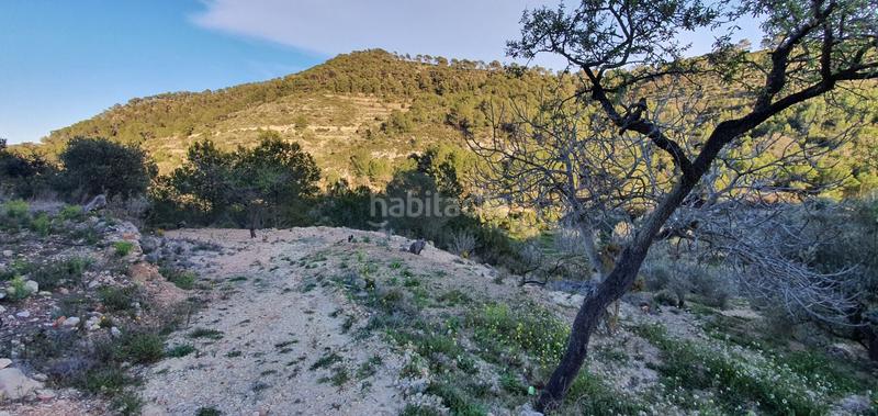 Foto 7647f64b-147e-4252-91f7-599f62804a24. Maison dans Rasquera