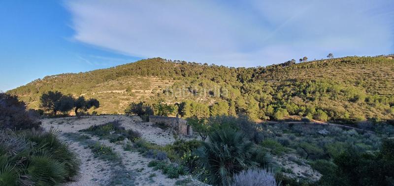 Foto a111ed54-b0a1-45df-8360-842b53332f93. Maison dans Rasquera