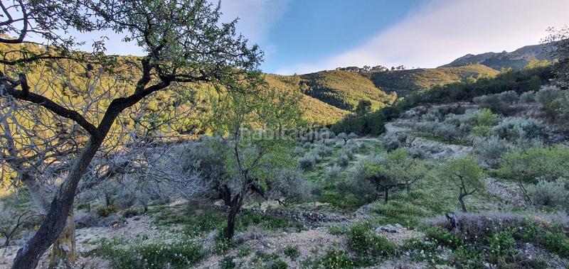 Foto a9c1183f-33ba-433a-bb8a-38f143a4274b. Maison dans Rasquera