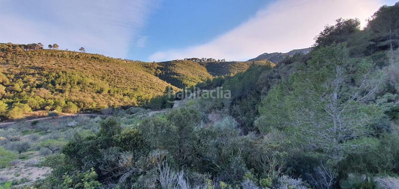 Foto c74cf346-fcad-4f67-8fb1-e0d9a3a07493. Maison dans Rasquera