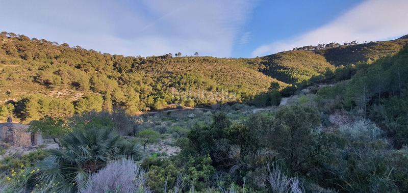 Foto c764fe66-5a3b-4f32-9ad0-168542db5ac4. Maison dans Rasquera