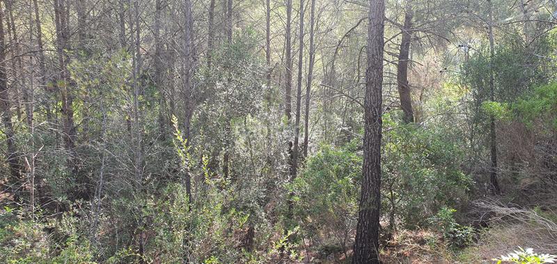 Foto 0b44fd64-7b1b-4d4f-b6c1-7c590d7647b6. Haus in Benifallet