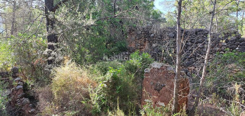 Foto 1e117ef0-2695-431e-81a3-f85d21eda32b. Haus in Benifallet