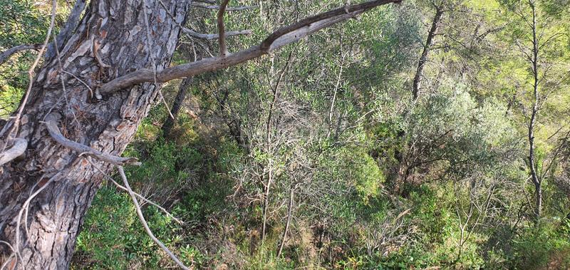 Foto 29e314d3-0320-4d31-a4a7-6ec7c2e0a413. Haus in Benifallet