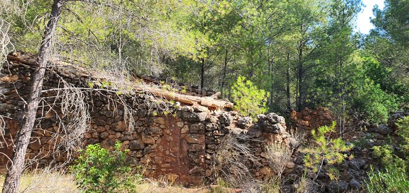 Foto 34372021-40e9-49aa-b626-5260efca264a. Haus in Benifallet