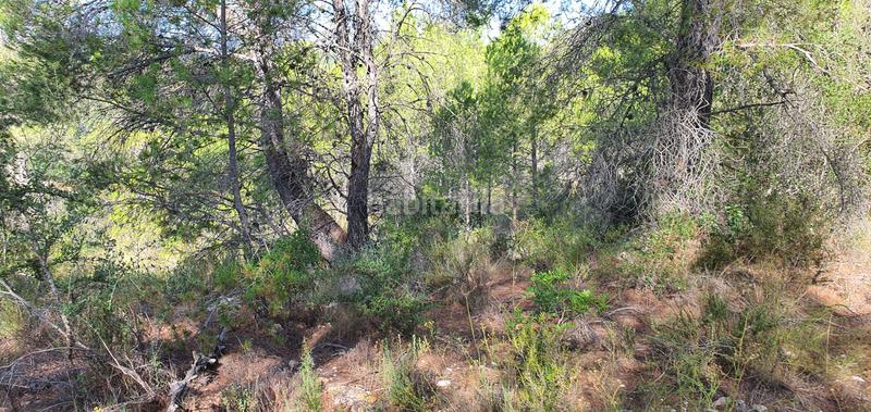 Foto 3d014dbd-5d66-4b81-9e33-dd9de608c95d. Haus in Benifallet