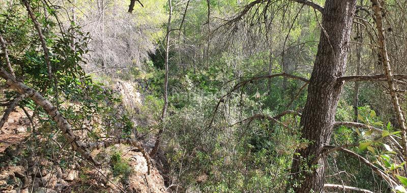 Foto 435b8207-73d1-4253-8e8f-60a51d0ff79f. Haus in Benifallet