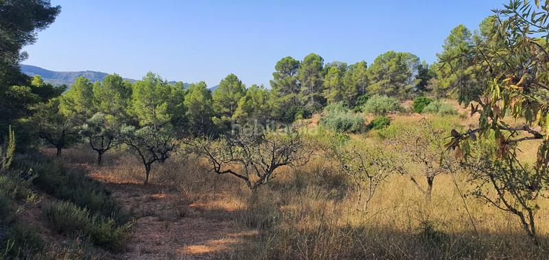 Foto 47d3dc7a-08b7-4c99-b313-0150201f28df. Haus in Benifallet