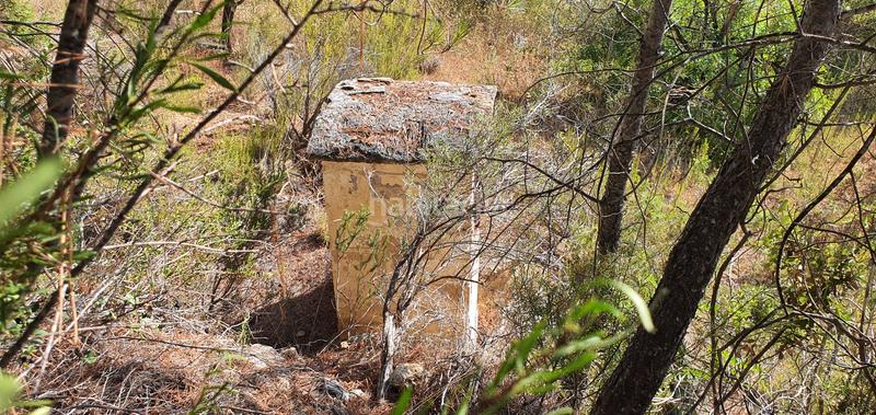 Foto 4c026532-a8a4-4463-a03a-09717437cd17. Haus in Benifallet