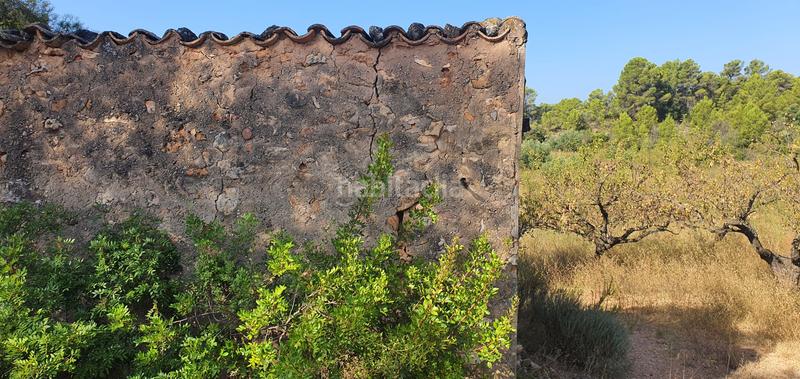 Foto 50c56464-efc1-46d1-9f29-5d7fa67796cb. Haus in Benifallet