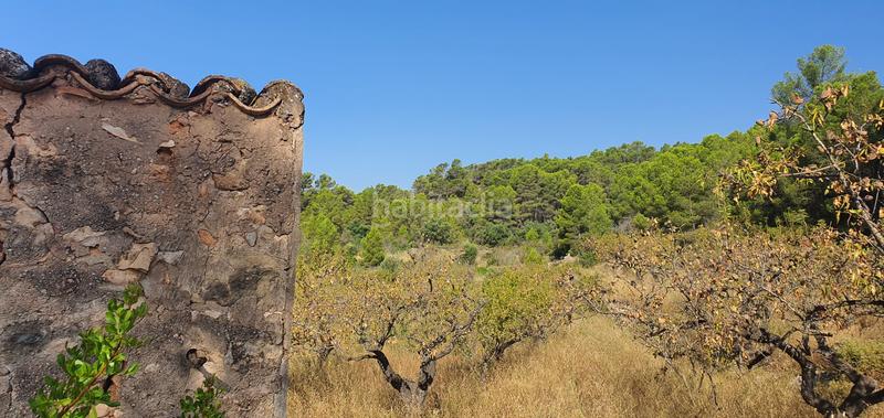 Foto 5432ddfb-1512-43df-bff7-078f1ad93622. Haus in Benifallet