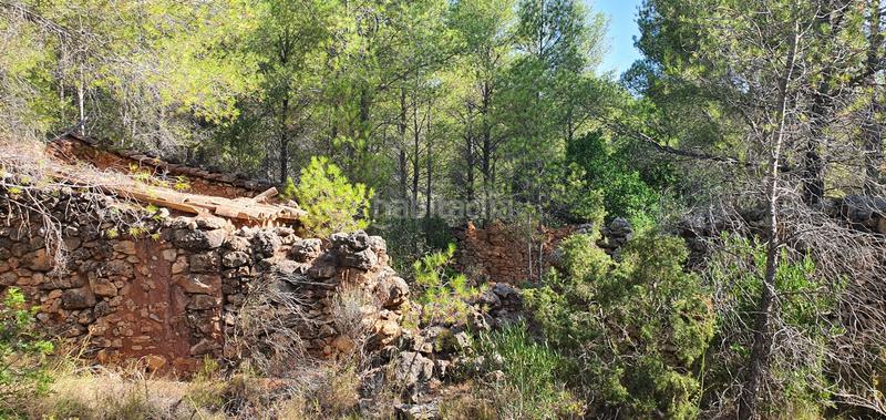 Foto 87e4ac6f-d903-4213-a689-2212095f61c1. Haus in Benifallet