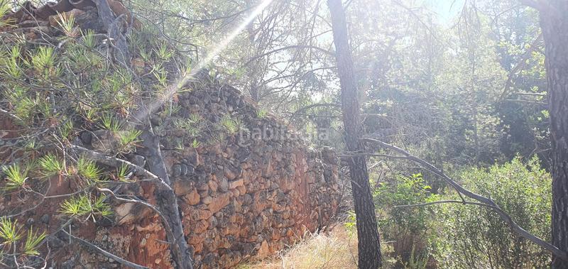 Foto 89f8c96a-ccab-4040-b232-c971d23c5088. Haus in Benifallet