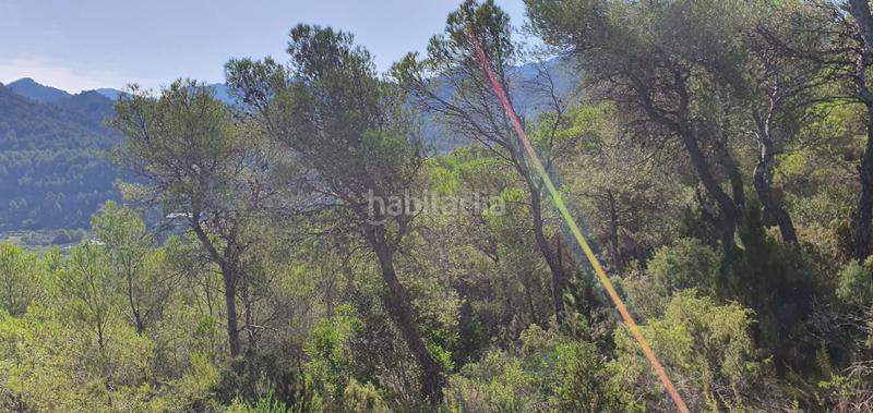 Foto 96224e13-5424-43f2-a309-2cef65dcc0d9. Haus in Benifallet