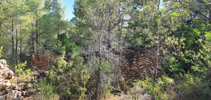 Foto a2d2eab7-da6b-49de-84c6-a0b1ef782171. Haus in Benifallet