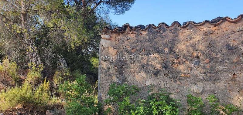 Foto a56cff25-6e68-4e67-9982-7d27f344a815. Haus in Benifallet