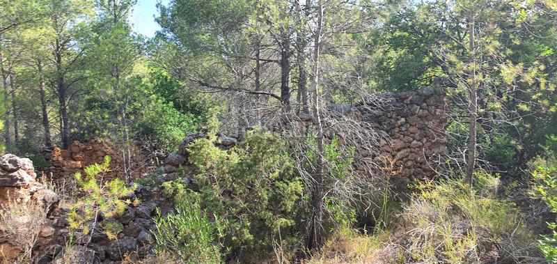 Foto b52ea129-e091-4b57-9dc8-41f47f58b8de. Haus in Benifallet