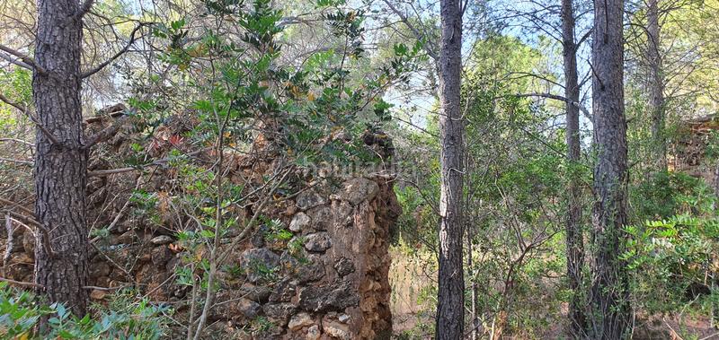 Foto c2639d9a-247e-4eb1-ac1e-4d7885be119d. Haus in Benifallet