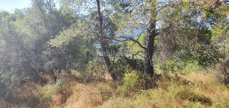 Foto c8bcb8bd-fe39-48cf-926f-b8f2a226637f. Haus in Benifallet