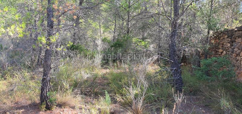 Foto d76c091b-7260-4125-9e97-793452af0c69. Haus in Benifallet