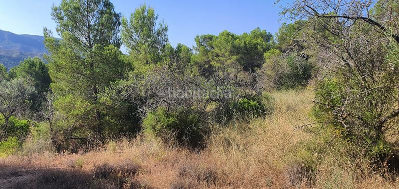 Foto e47b1d45-e4eb-4ebf-bd00-ad3963b5e789. Haus in Benifallet