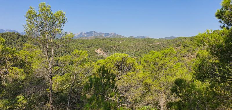 Foto e75842a8-358f-4c8b-8dcb-5a9c02f2f9d8. Haus in Benifallet