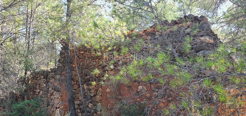 Foto ef1ab619-31f3-4f07-8c99-1664bc280175. Haus in Benifallet