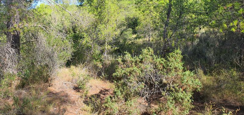 Foto f46ddd9b-3b2f-47ed-bbe2-5362de44d6d3. Haus in Benifallet