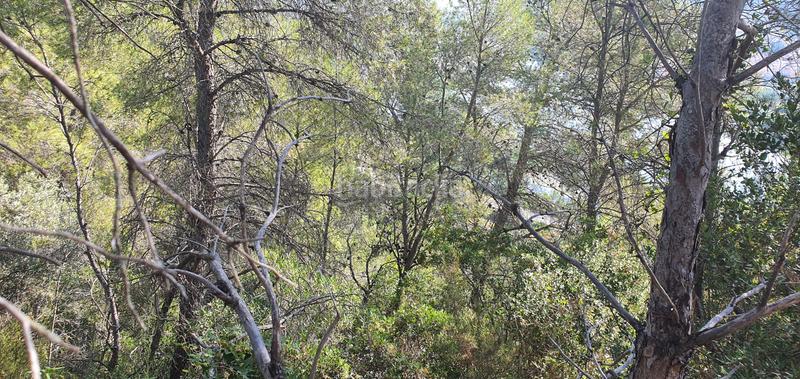 Foto 00854e23-874d-4415-92da-906f1551bf6e. House in Benifallet