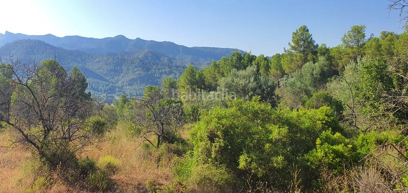 Foto 079af905-4435-4dc1-b1ed-2aeecdccb21d. House in Benifallet