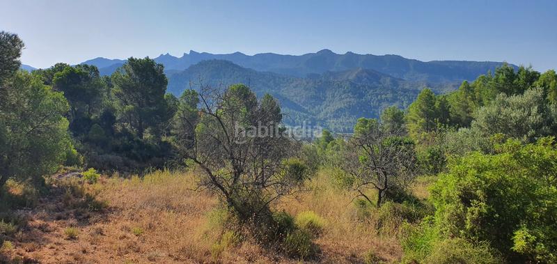 Foto 44d80ceb-8ca9-4c6a-b28d-c8eaa40a864c. House in Benifallet