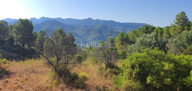 Foto 7e3d21a2-2c81-4798-a132-de6b4569553d. House in Benifallet