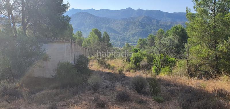 Foto 85e726bc-3f4b-47b1-b2f2-13e66ada4029. House in Benifallet