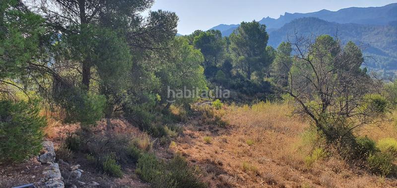 Foto a28343b5-d5ed-442e-8c31-78be849193d5. House in Benifallet