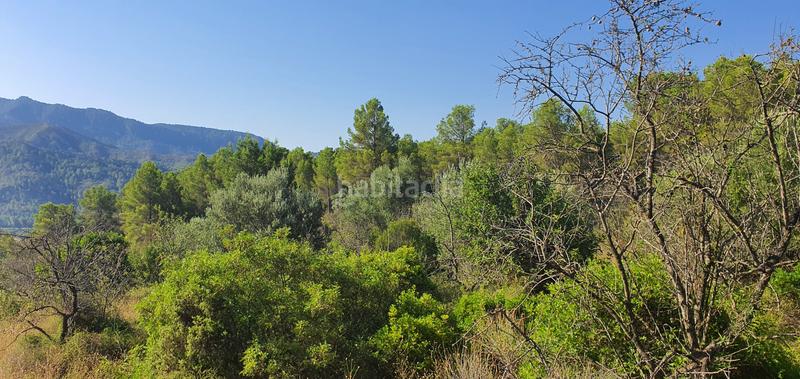 Foto d5977a76-7246-4921-844d-39ec3f1766d1. House in Benifallet