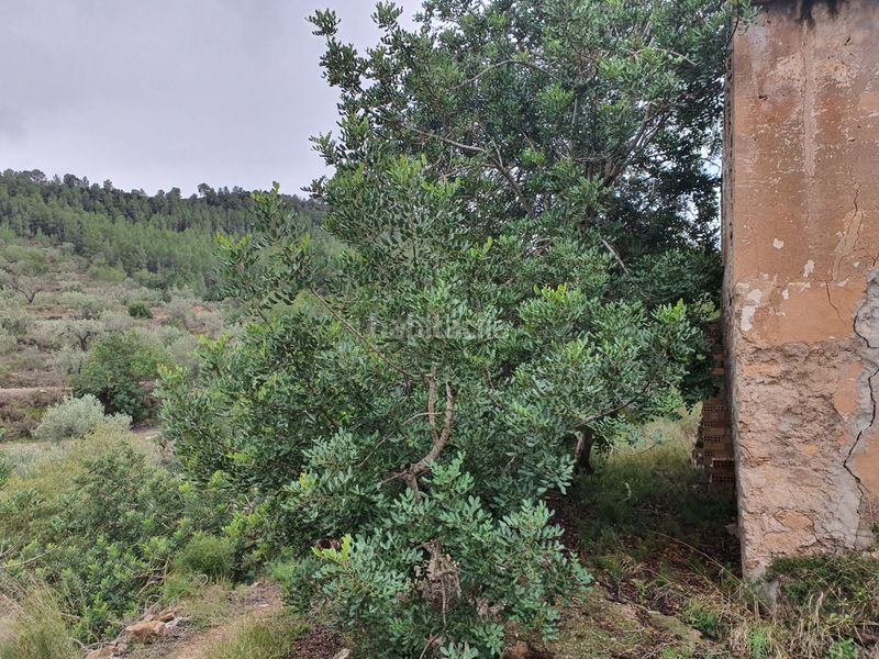 Foto 010090ee-d773-4c6f-87ac-f1960428035f. Casa a Benifallet