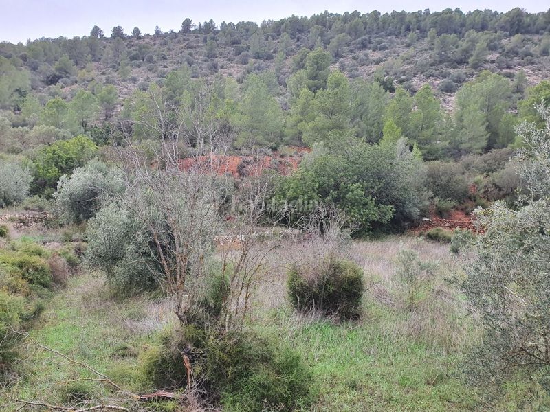 Foto 5252fe0c-2d19-45a5-93a6-85f1368e038d. Casa a Benifallet