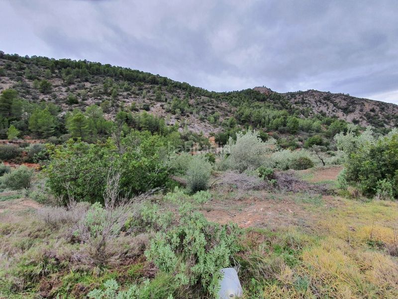 Foto 93bfc94e-4e93-4911-b931-77a3d1539af5. Casa a Benifallet