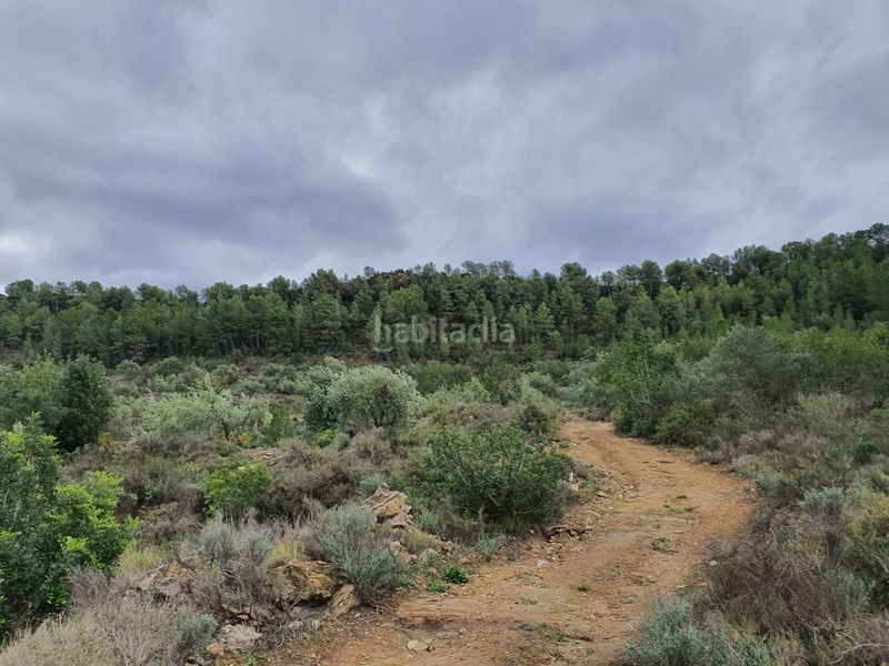 Foto a500acf2-e8f4-4306-8a92-6b9846e0c2c9. Casa a Benifallet
