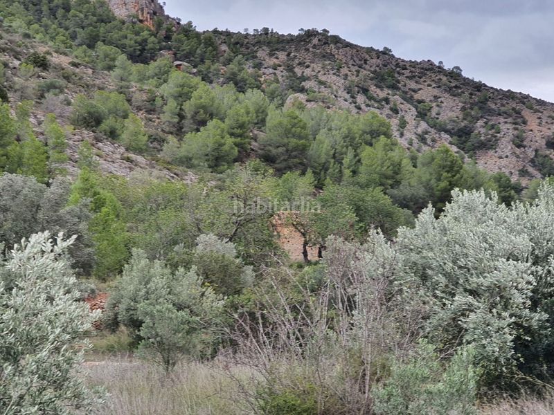 Foto ac0e2c3d-efbe-4a35-90a4-ba402e0cd3e3. Casa a Benifallet