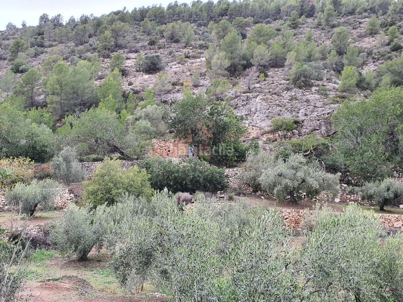 Foto b0912607-b6fc-405d-94db-537e6a7350a8. Casa a Benifallet