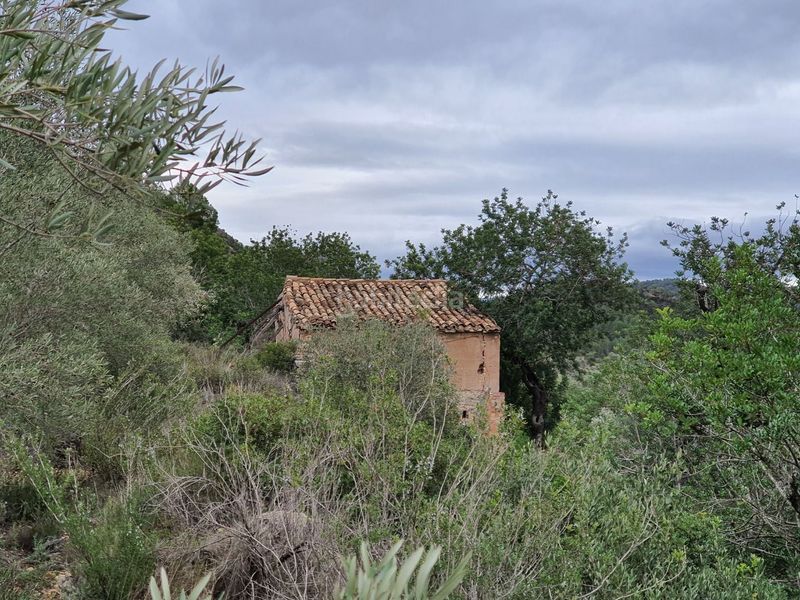 Foto d9120726-b351-4a26-8137-b54afba7db74. Casa a Benifallet