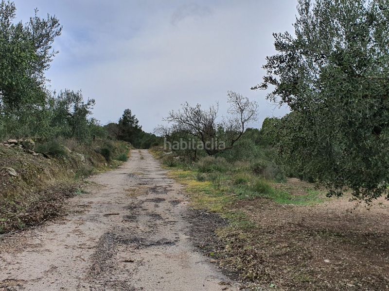 Foto e7342968-3620-4130-81e9-e385525216c5. Casa a Benifallet